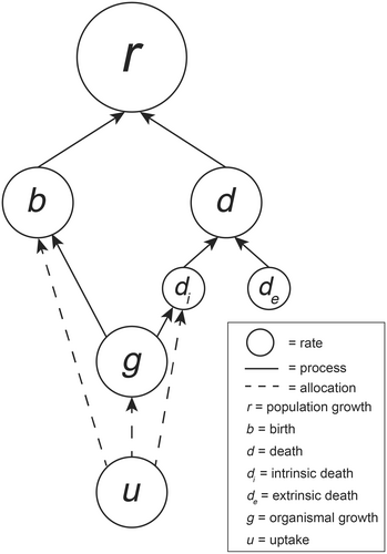 Details are in the caption following the image