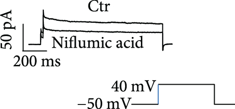 Details are in the caption following the image