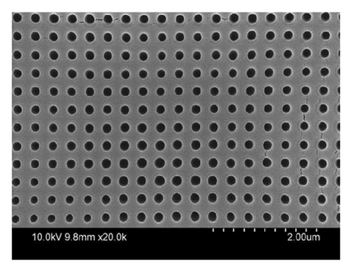Details are in the caption following the image