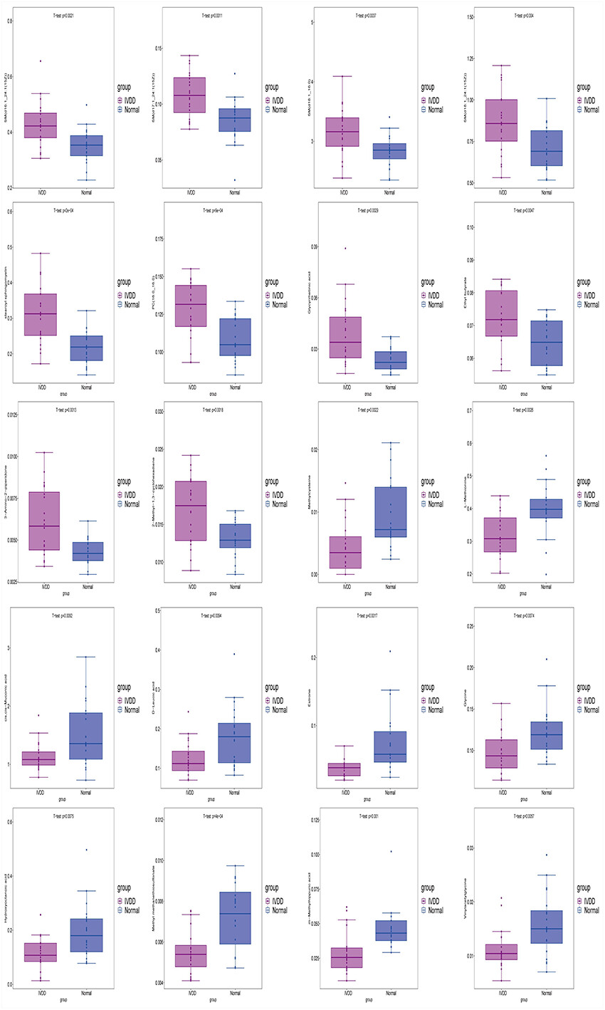 Analysis of Key Differential Metabolites in Intervertebral Disc Degeneration Based on Untargeted Metabolomics
