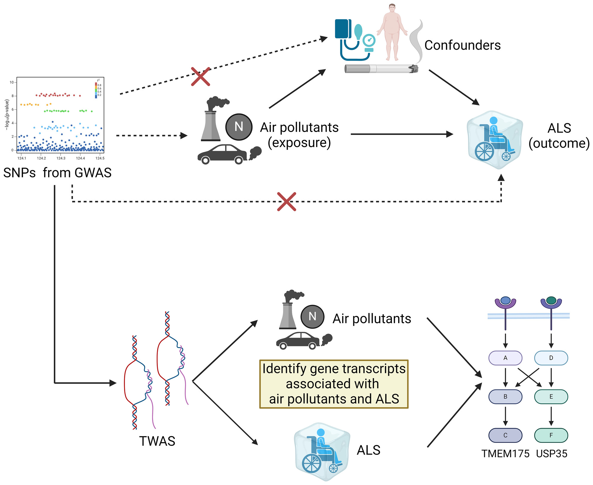 Causal relationship and shared genes between air pollutants and amyotrophic lateral sclerosis: A large-scale genetic analysis