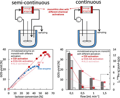 Immobilization of β-Galactosidase on Monolithic Discs for the Production of Prebiotics Galacto-oligosaccharides