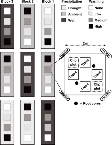 Details are in the caption following the image
