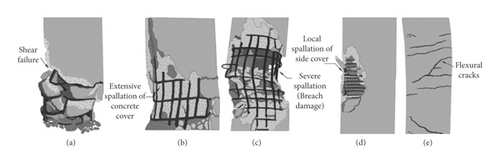Details are in the caption following the image Details are in the caption following the image