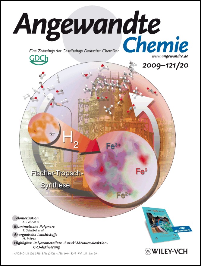 Titelbild: Nanoscale Chemical Imaging of the Reduction Behavior of a Single Catalyst Particle (Angew. Chem. 20/2009)