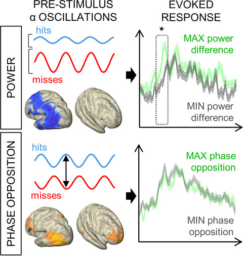 Pre-stimulus alpha-band power and phase fluctuations originate from different neural sources and exert distinct impact on stimulus-evoked responses