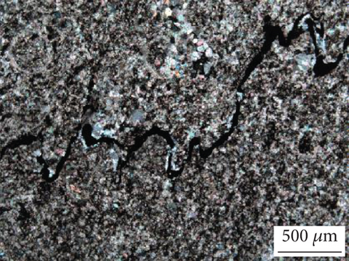 Details are in the caption following the image