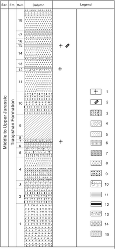 Details are in the caption following the image Details are in the caption following the image