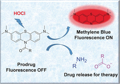Release of Amino- or Carboxy-Containing Compounds Triggered by HOCl: Application for Imaging and Drug Design