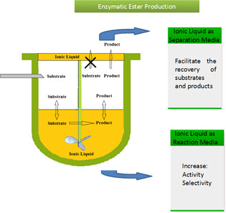 Ionic Liquids as Extractor Agents and Reaction Media in Ester Synthesis