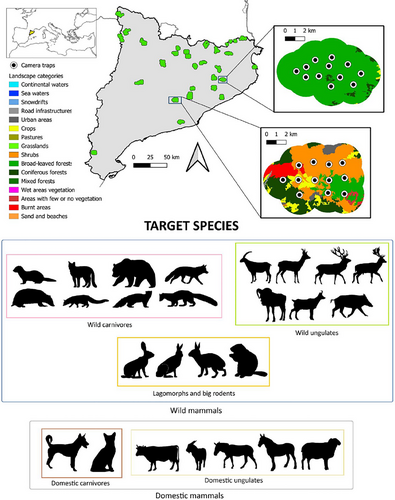 Details are in the caption following the image Details are in the caption following the image