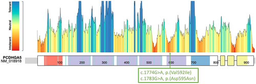 Details are in the caption following the image Details are in the caption following the image