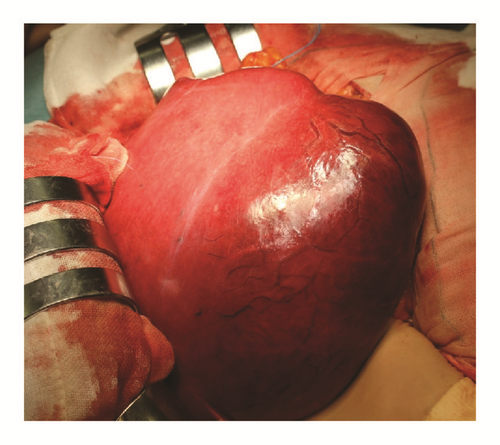 Details are in the caption following the image Details are in the caption following the image