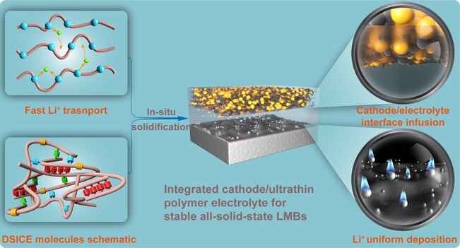 Multiple Dynamic Bonds-Driven Integrated Cathode/Polymer Electrolyte for Stable All-Solid-State Lithium Metal Batteries