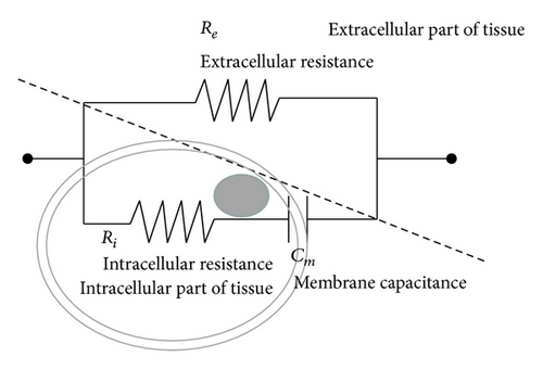 Details are in the caption following the image