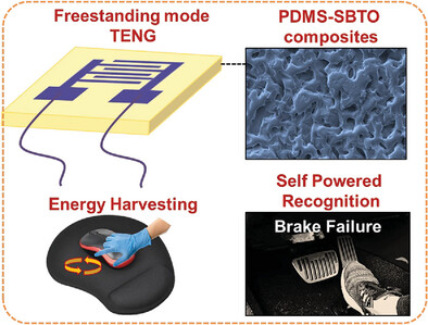 A Sustainable Free-Standing Triboelectric Nanogenerator Made of Flexible Composite Film for Brake Pattern Recognition in Automobiles