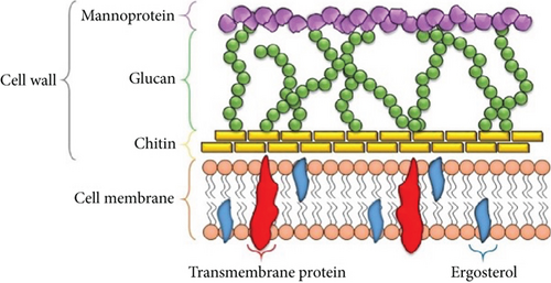 Details are in the caption following the image