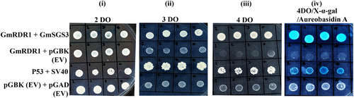 Details are in the caption following the image Details are in the caption following the image