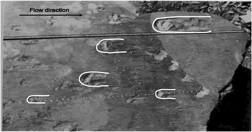 Details are in the caption following the image