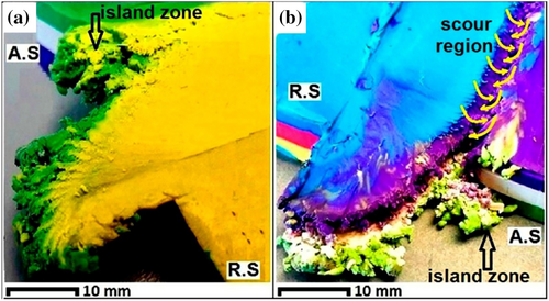 Details are in the caption following the image