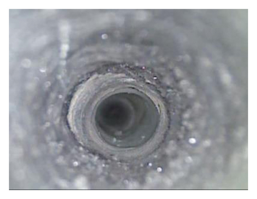 Details are in the caption following the image Details are in the caption following the image