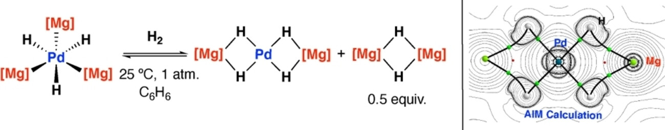Reversible Dihydrogen Activation and Catalytic H/D Exchange with Group 10 Heterometallic Complexes**