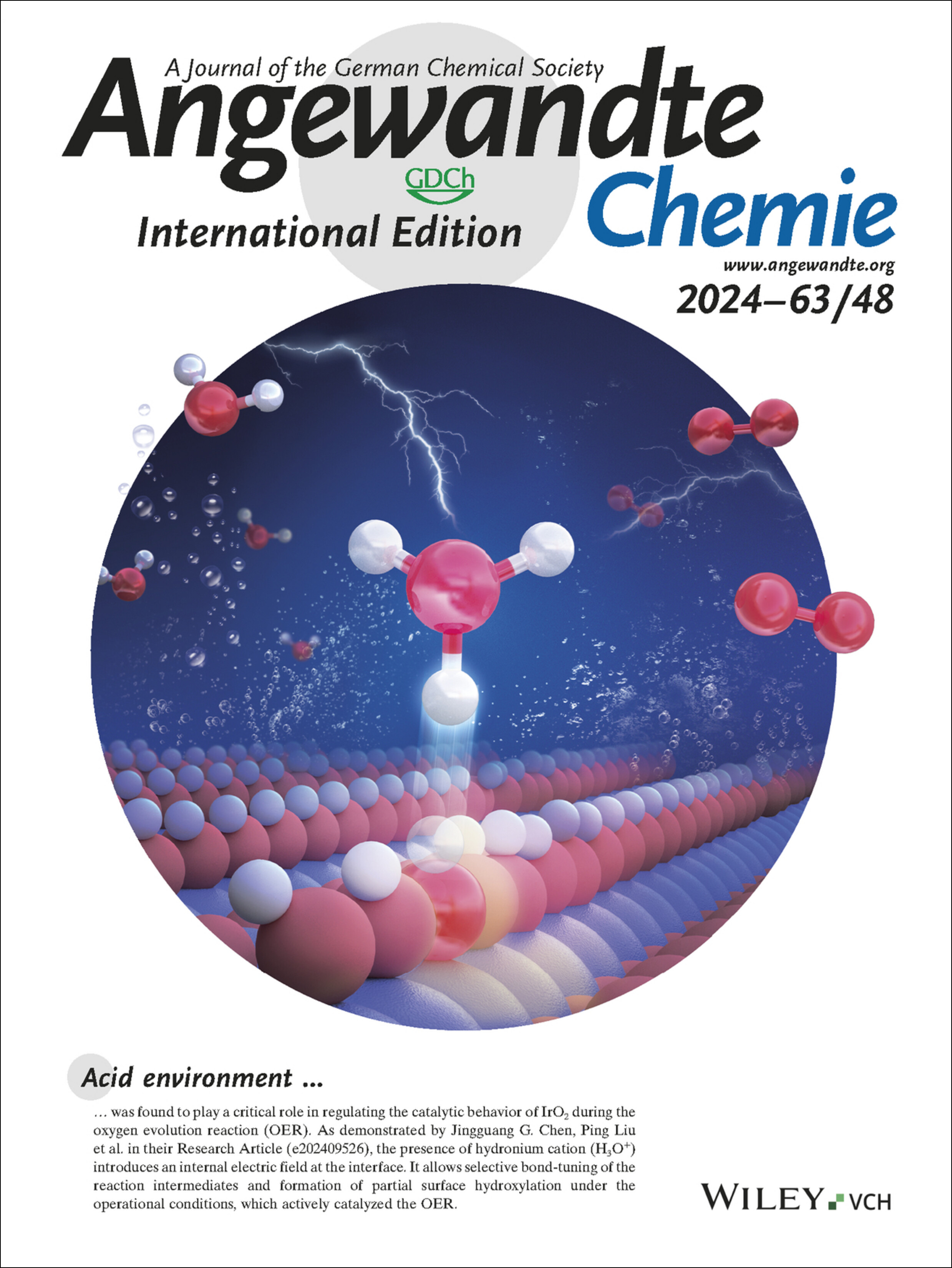 Inside Back Cover: Rationalizing Acidic Oxygen Evolution Reaction over IrO2: Essential Role of Hydronium Cation (Angew. Chem. Int. Ed. 48/2024) Volume 63 Issue 48, 2024