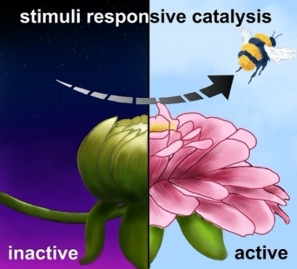 Traffic Lights for Catalysis: Stimuli-Responsive Molecular and Extended Catalytic Systems