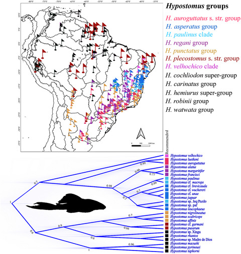 A taxonomically complex catfish group from an underrepresented geographic area: Systematics and species limits in Hypostomus Lacépède, 1803 (Siluriformes, Loricariidae) from Eastern South America