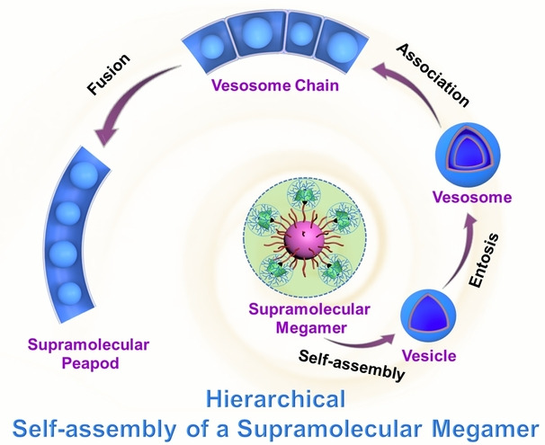 Self-Assembly of Peapod-like Micrometer Tubes from a Planet-Satellite-type Supramolecular Megamer