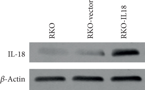Details are in the caption following the image