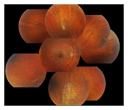 Details are in the caption following the image Details are in the caption following the image