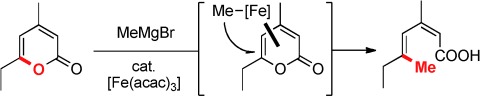 Formal Ring-Opening/Cross-Coupling Reactions of 2-Pyrones: Iron-Catalyzed Entry into Stereodefined Dienyl Carboxylates