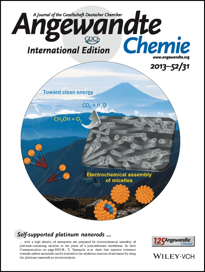 Back Cover: Electrochemical Synthesis of One-Dimensional Mesoporous Pt Nanorods Using the Assembly of Surfactant Micelles in Confined Space (Angew. Chem. Int. Ed. 31/2013)
