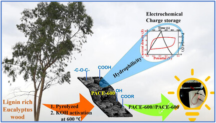 Oxygen-Rich Porous Activated Carbon from Eucalyptus Wood as an Efficient Supercapacitor Electrode