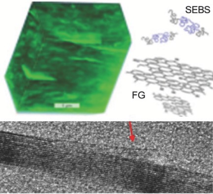 Thermoplastic SEBS Elastomer Nanocomposites Reinforced with Functionalized Graphene Dispersions