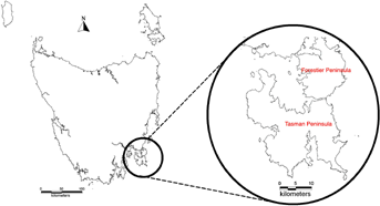Details are in the caption following the image