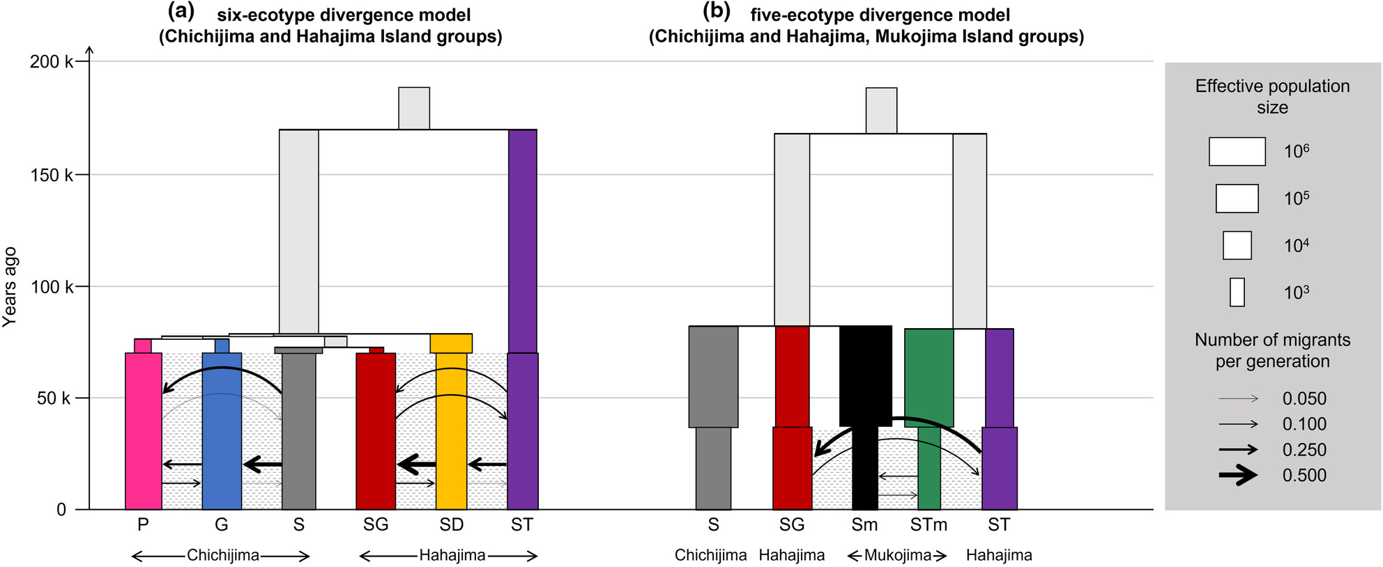 Adaptive radiation of the Callicarpa genus in the Bonin Islands revealed through double-digest restriction site-associated DNA sequencing analysis