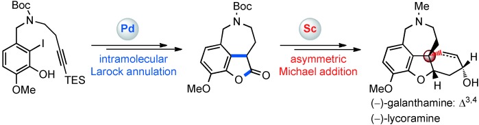 Catalytic Asymmetric Total Synthesis of (−)-Galanthamine and (−)-Lycoramine