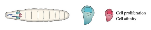 Details are in the caption following the image Details are in the caption following the image