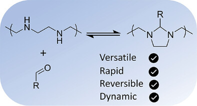 Rapid and Versatile Functionalization of Poly-Ethylene Imine via Dynamic Aminal Formation