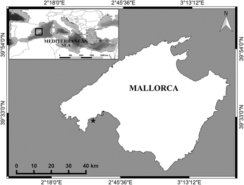 Details are in the caption following the image Details are in the caption following the image
