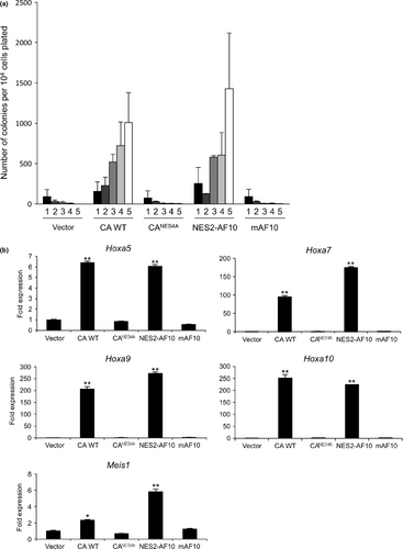 Details are in the caption following the image Details are in the caption following the image