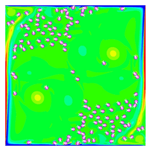 Details are in the caption following the image