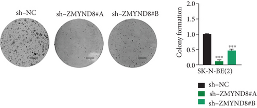 Details are in the caption following the image