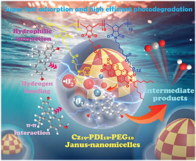 Efficient Photocatalytic Water Purification Through Novel Janus-Nanomicelles with Long-Lived Charge Separation Properties