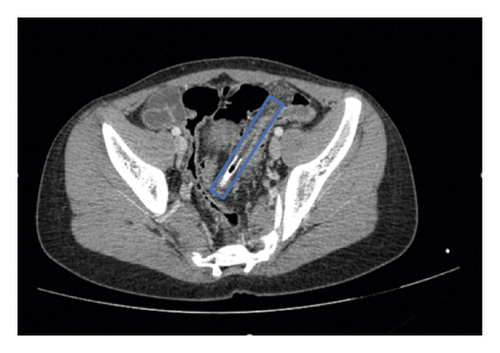 Details are in the caption following the image Details are in the caption following the image