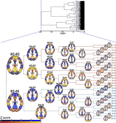 Co-activation pattern alterations in autism spectrum disorder–A volume-wise hierarchical clustering fMRI study