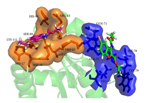 Details are in the caption following the image Details are in the caption following the image