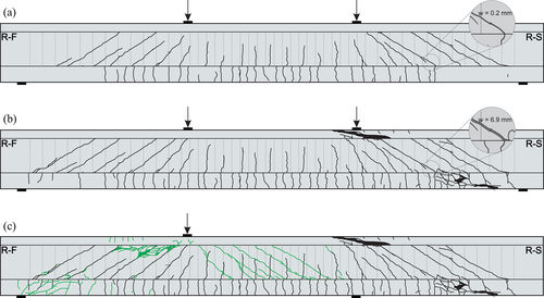 Details are in the caption following the image Details are in the caption following the image
